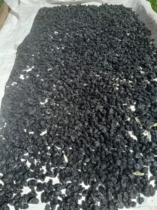 ANTEP KARASI ÜZÜM (250gr)