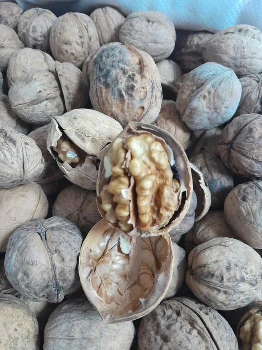 Kabuklu Yerli Ceviz (Etli - İnce Kabuk ) 500GR